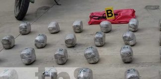 Foto: Incautación de varias libras de marihuana en Nueva Segovia / TN8