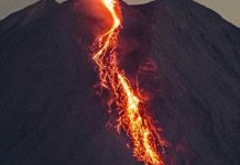 Decretan alerta máxima en Indonesia ante erupción del volcán Semeru