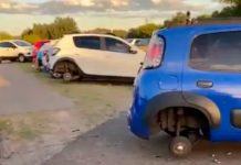 «Tamalean» llantas de carros durante la celebración de los campeones del Mundo "Tamalean" llantas de carros durante la celebración de los campeones del Mundo
