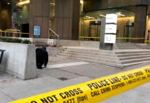 ¡Atroz ataque! Ocho niñas apuñalaron a sangre fría un indigente en Toronto
