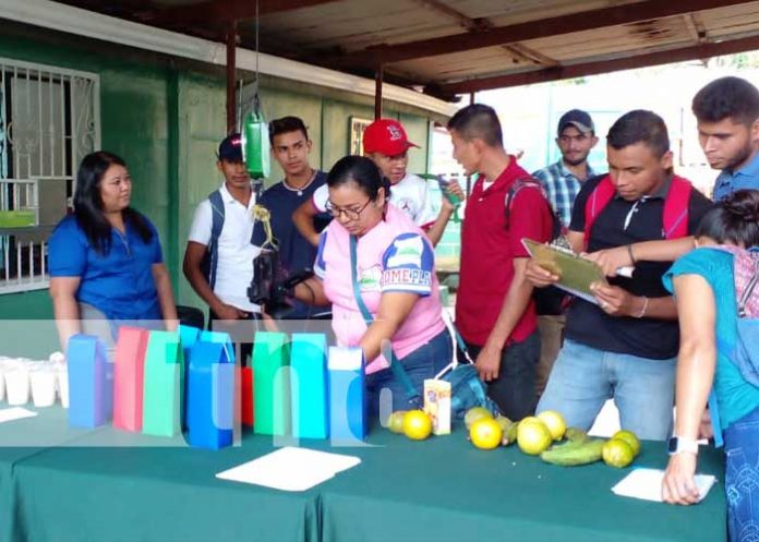 Foto: Feria de productos agrícolas en Waslala / TN8