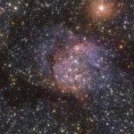 Constelación de “Serpiente” y sus detalles inéditos revelados Constelación de “Serpiente” y sus detalles inéditos revelados