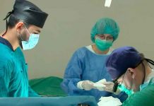 Médicos trabajan en tecnología que podría restaurar extremidades rápidamente Médicos trabajan en tecnología que podría restaurar extremidades rápidamente