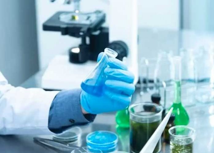 Laboratorio realizará ensayos con tratamientos para vencer el cáncer