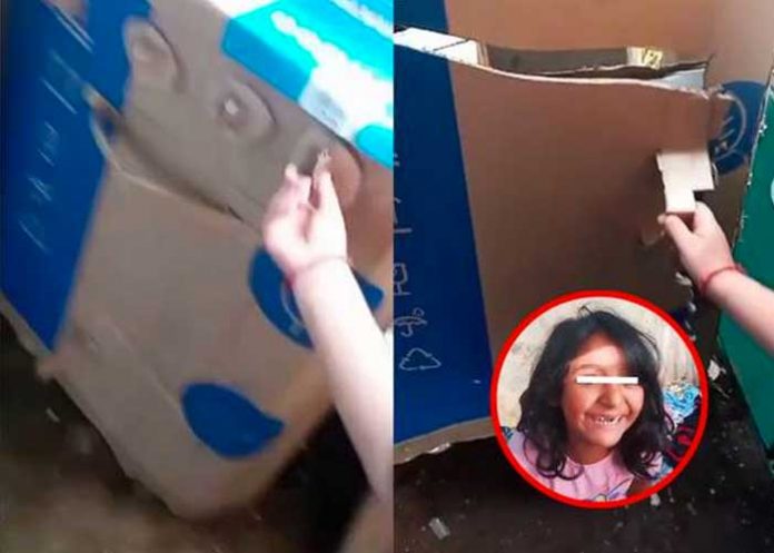 “Amor puro”, padres de escasos recursos crean casita de cartón para su hija