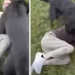 ¡VIDEO! Padre se hizo pasar por su hija de 12 y capturó a un pedófilo