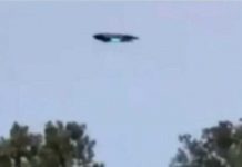¿Real? Habitantes de Argentina captan OVNI en el cielo ¿Real? Habitantes de Argentina captan OVNI en el cielo