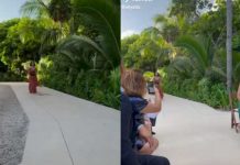 Serpiente asusta a dama de honor mientras llegaba a la boda Serpiente asusta a dama de honor mientras llegaba a la boda