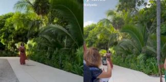 Serpiente asusta a dama de honor mientras llegaba a la boda