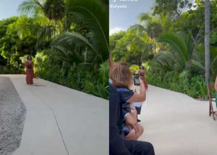 1 Serpiente asusta a dama de honor mientras llegaba a la boda