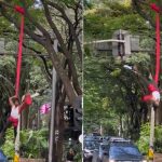 Hace danza aérea en semáforo para poder ganarse la comida diaria Hace danza aérea en semáforo para poder ganarse la comida diaria