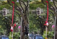 Hace danza aérea en semáforo para poder ganarse la comida diaria Hace danza aérea en semáforo para poder ganarse la comida diaria