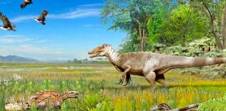 Encuentran 4 tipos de dinosaurios en la Patagonia chilena