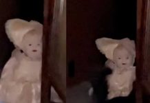 Muñeca “endemoniada” causó pánico en redes al caminar sola Muñeca “endemoniada” causó pánico en redes al caminar sola