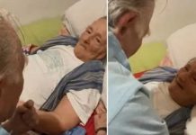 Abuelita sufre alzheimer y solo recuerda a su esposo: todos los días la besa Abuelita sufre alzheimer y solo recuerda a su esposo: todos los días la besa