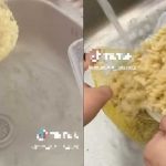 Jóvenes deciden independizarse y no podían preparar ni una sopa Jóvenes deciden independizarse y no podía preparar ni una sopa