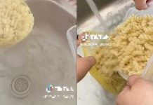 Jóvenes deciden independizarse y no podían preparar ni una sopa Jóvenes deciden independizarse y no podía preparar ni una sopa