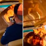 Leona da el susto de sus vidas a turistas en safari Leona da el susto de sus vidas a turistas en safari