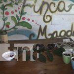 Foto: Caficultores de Ometepe apuestan a participar en la taza a la excelencia / TN8
