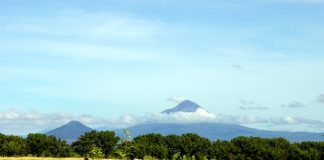 Foto: Agricultura y ganadería con grandes beneficios para Nicaragua / Cortesía
