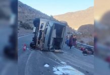 Dos muertos y más de 30 lesionados en accidente vial al norte de Chile Dos muertos y 28 lesionados en accidente vial al norte de Chile (VIDEO)