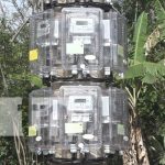 ¡No más ocuridad! proyecto de electrificación beneficia a familias de Matiguás
