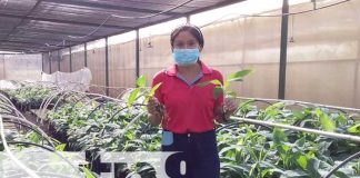 Conocé todo sobre la primera edición del certamen "Premio a la investigación agropecuaria"