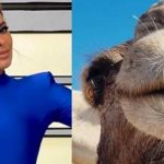 ¿Cómo así? Casi intercambian a Galilea Montijo por 150 camellos en Marruecos