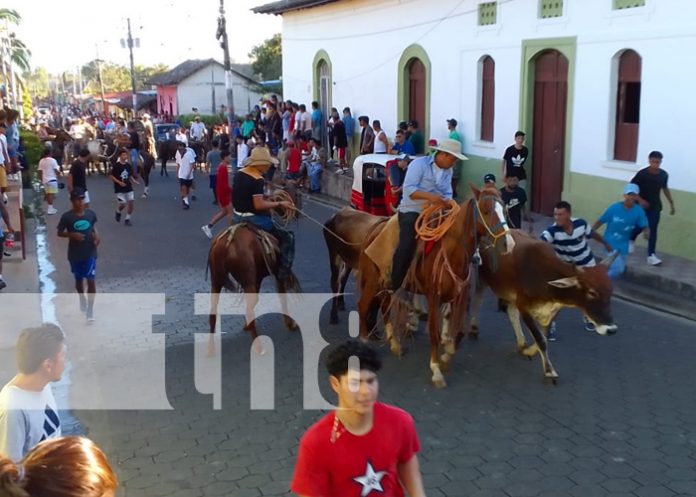 Diriá celebra tope de toros en honor a San Sebastián