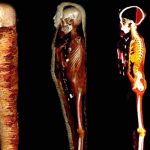 Más de 40 amuletos son encontrados dentro de una momia en Egipto