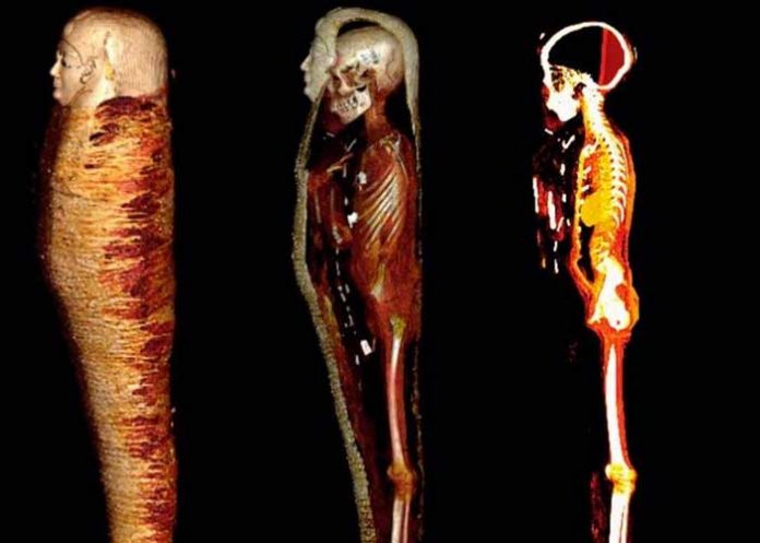 Más de 40 amuletos son encontrados dentro de una momia en Egipto