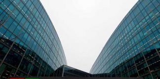 Informan interrupción masiva de los servicios de Microsoft