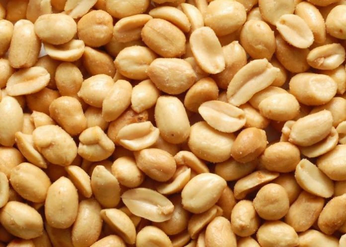 1 Producción nacional de maní incrementó en un 8% en el 2022