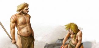 Como el depredador: neandertales utilizaban cráneos como trofeos luego de cazar