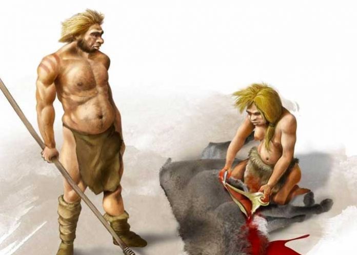 Como el depredador: neandertales utilizaban cráneos como trofeos luego de cazar