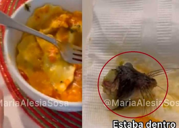 1 ¡Salada con su antojo! Panzona encuentra un ratón en su pasta