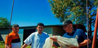 Soñaban con exportar el sésamo negro y terminaron transformándolo en AMILI