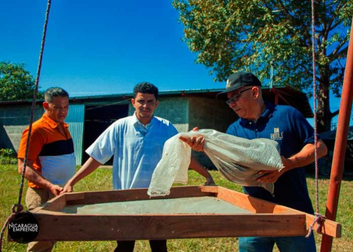 Soñaban con exportar el sésamo negro y terminaron transformándolo en AMILI