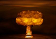 ¡De terror! IA predice cómo será el fin de la humanidad ¡De terror! IA predice cómo será el fin de la humanidad
