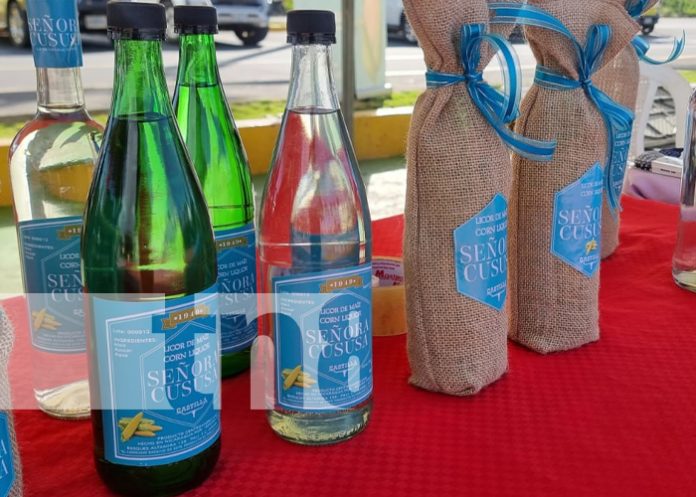 Foto: Organizan en Nicaragua una Expoferia Creativa que combina emprendimientos y turismo / TN8