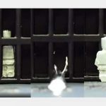 ¿“Terminator”?: Crean robots que puede pasar de sólido a líquido en poco tiempo Tipo “Terminator”: Crean robots que puede pasar de sólido a líquido en poco tiempo