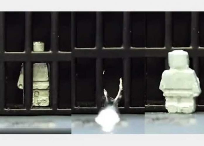 1 Tipo “Terminator”: Crean robots que puede pasar de sólido a líquido en poco tiempo