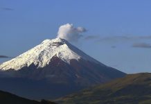 Volcán Cotopaxi emana columna de gases y ceniza en Ecuador