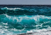 Científicos: «Los océanos registraron nuevo récord de temperatura en 2022» Océanos registraron nuevo récord de temperatura en 2022