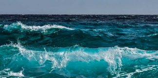 Océanos registraron nuevo récord de temperatura en 2022