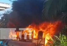 Dejar cargando una batería lo dejo sin casa en Corn Island