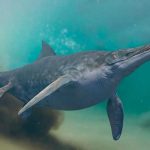 Este es el animal más grande de la historia según científicos