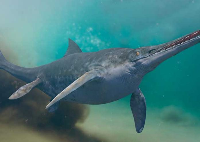 2 Este es el animal más grande de la historia según científicos