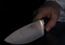 Estados Unidos: Niña de 12 años mata a su hermano de 9 con cuchillo Estados Unidos: Niña de 12 años mata a su hermano de 9 con cuchillo