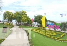 La Isla del Amor y el Puerto Salvador Allende para recrearse Foto: La Isla del Amor y el Puerto Salvador Allende como opción para recrearse / TN8
